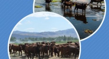 Halk elinde ıslaha 2,7 milyar TL destek