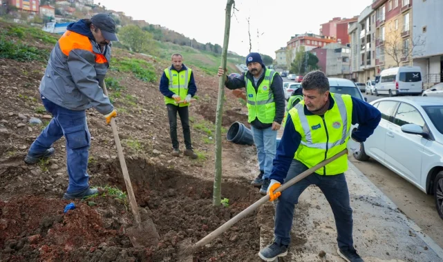 İstanbul Maltepe'de Zümrütevler'in parkları geri dönüşümle yenileniyor