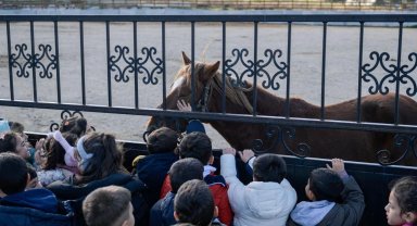 İzmirli çocuklara hayvan sevgisi kazandırılıyor