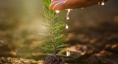 İzocam, 60. Yıl Hatıra Ormanı'nı oluşturuyor