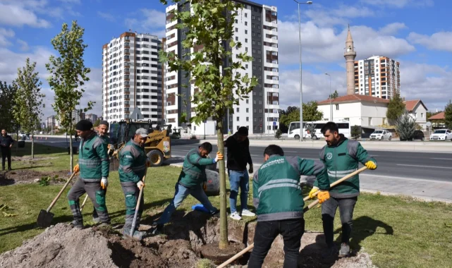 Kayseri Kocasinan şehri oksijen deposuna çevirdi