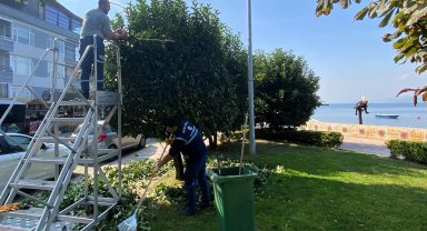 Kocaeli Büyükşehir'den yeşil alanlara özel bakım