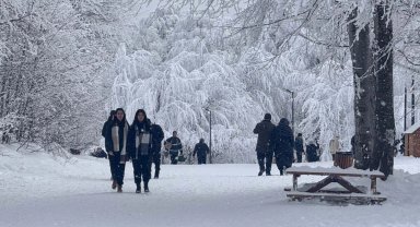 Kocaeli Ormanya, 2025'te de doldu taştı