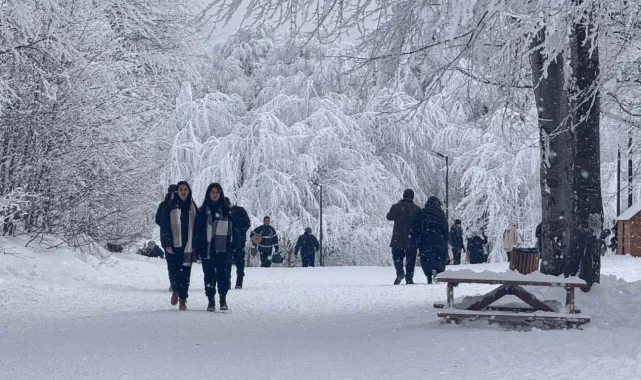 Kocaeli Ormanya, 2025'te de doldu taştı