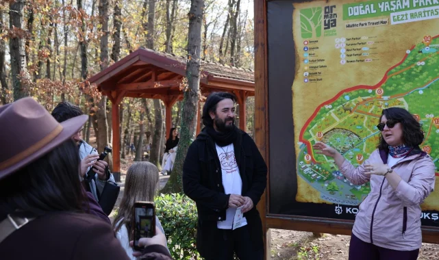 Kocaeli'de mantar avıyla doğanın tadını çıkardılar