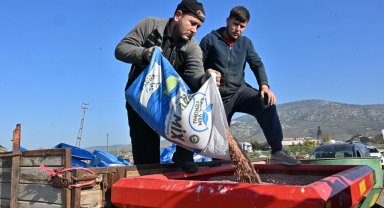 Manisa'nın tohumları Sarıçalı'nın merasını yeşertecek