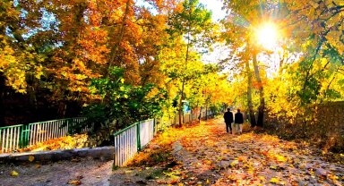 Mardin Yeşilli'de sonbahar büyüsü (Özel Haber)