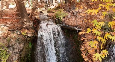 Mardin'in gizli cenneti renk cümbüşüne döndü