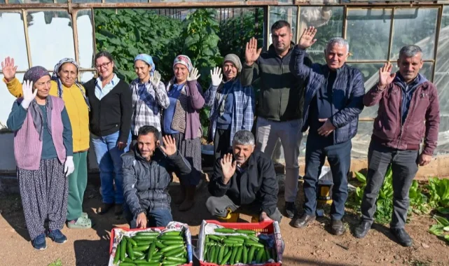 Mersin Aydıncık'ta üreticiler ilk hasadı yaptı