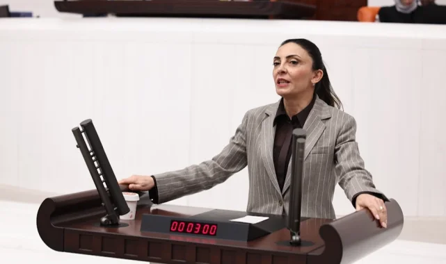 Nurhayat Altaca Kayışoğlu: "Özgür sanat olmadan demokrasi olmaz"