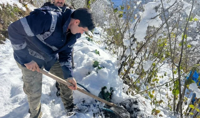 Ordu'nun yüksek ilçelerinde su hatları dondu