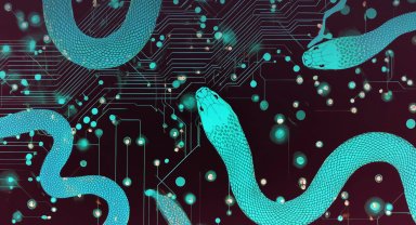 Oyun gibi gözükse de gerçekte siber casusluk!