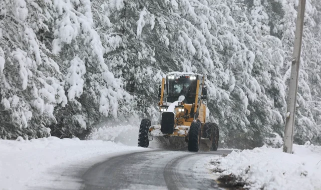 Sakarya'da kar alarmı