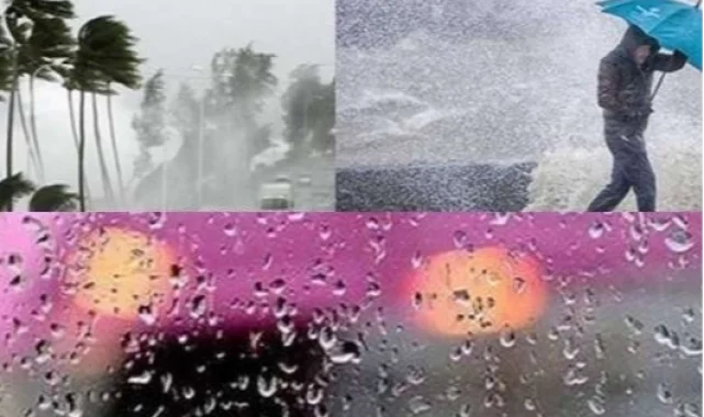 Trabzon, Rize ve Artvin'de kuvvetli yağış bekleniyor