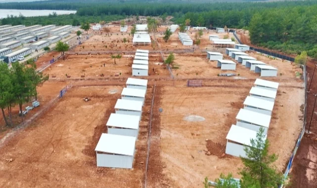 Antalya Büyükşehir'den sokak köpeklerine özel yaşam alanı