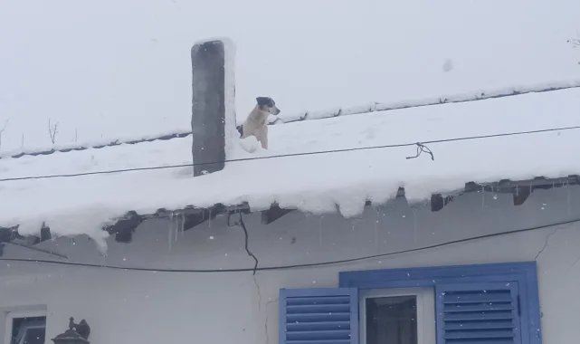 Bilecik Pazaryeri'nde kar altında kurtarma operasyonu