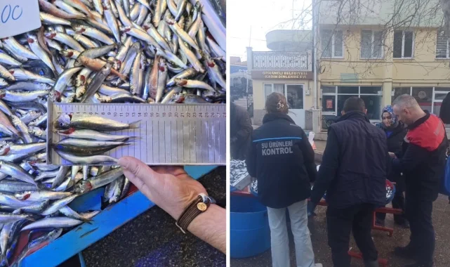 Bursa Orhaneli pazarında yasal boy altı istavritlere el konuldu