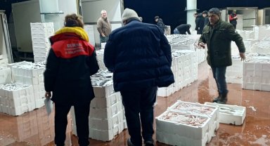 Bursa'da 150 kilogram tekir balığına el konuldu