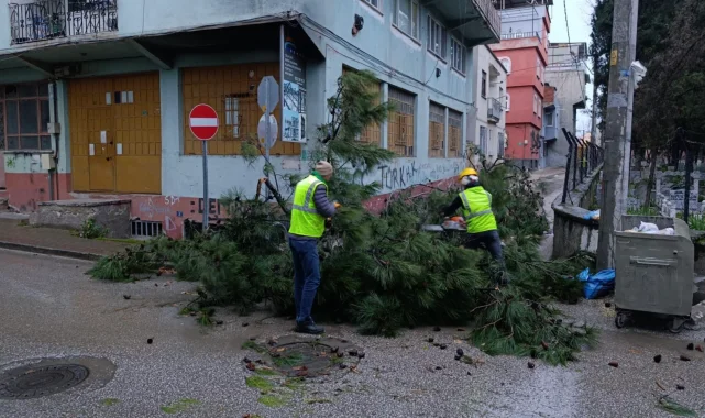 Bursa'da kuvvetli lodos alarmı! 42 ihbara anında müdahale