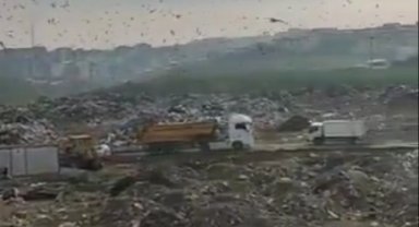 Bursa'daki katı atık alanına 1,8 milyon TL ceza!