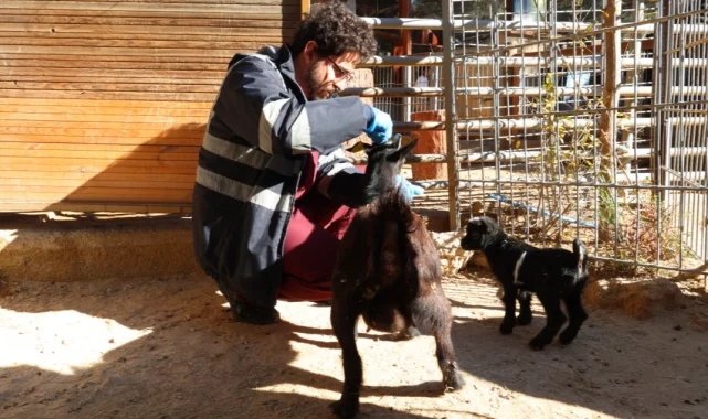 Doğal Yaşam Parkı'nda soğuk alarmı