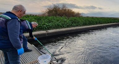 Gediz'de çevre kıyımına geçit yok!