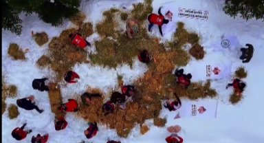 Ilgaz Dağı'na yüzlerce kilo yem bırakıldı