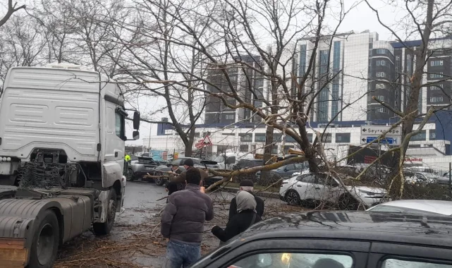 İstanbul'da fırtına: Ağaç devrildi, sahil yolları kapandı!