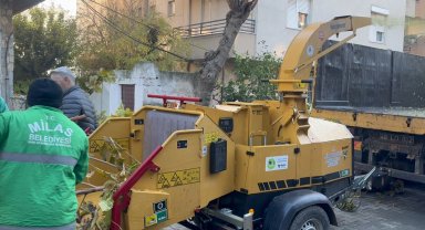 Muğla Milas'ta dal öğütme makinesi hizmette