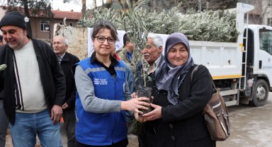 Muğla Ula'da üreticiye zeytin ve ceviz fidanı desteği