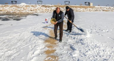 Van'da kuşlar için doğaya yem bırakıldı