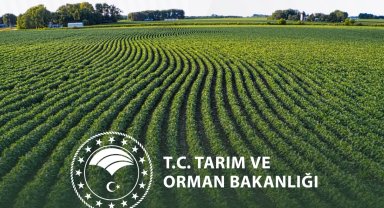 Yeni yılda kırsal kalkınmada destekler artıyor