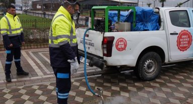 Balıkesir'de halk sağlığı için kışlak mücadelesi