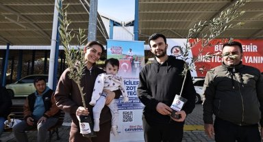 Denizli Büyükşehir'den üreticiye zeytin fidanı desteği