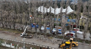 Eskişehir Büyükşehir'den ağaçlara gençleştirme çalışması