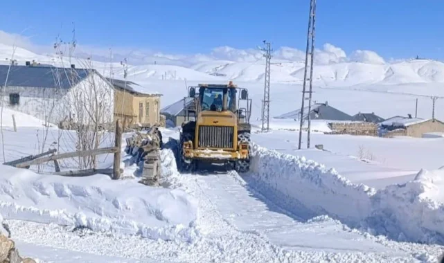 Kar Van'ı esir aldı