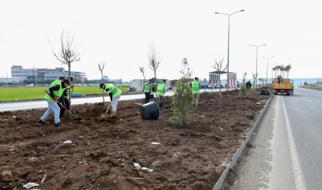 Mardin yoluna yeşil dokunuş