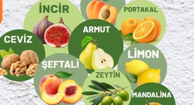 Muğla Milas'ta üreticilere fidan desteği sağlanacak
