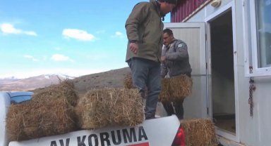 Niğde Demirkazık'ta yaban hayatına kış desteği