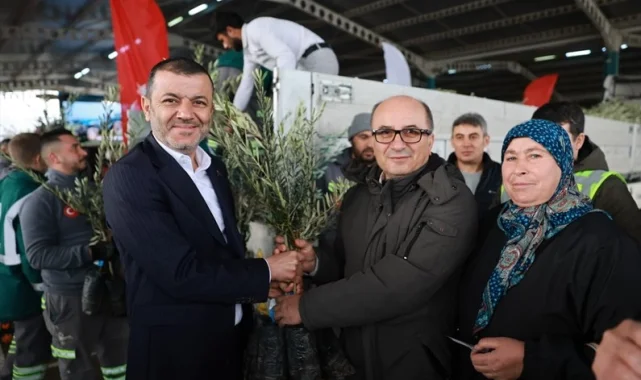 Üreticiye 84 bin sertifikalı zeytin fidanı