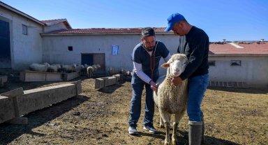 ABB'den kırsala veterinerlik hizmeti