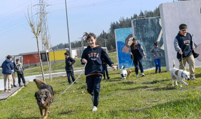 İzmir'de 2 bin 300 patili yuva bekliyor