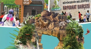 Kayseri'de hayvanat bahçesi ücretsiz