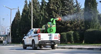 Manisa Büyükşehir'den vektörle mücadele mesaisi