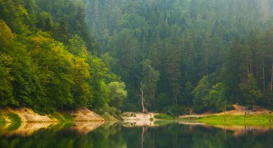 Milli parklar ve doğa korumada yeni dönem... Kanun teklifi TBMM'de kabul edildi