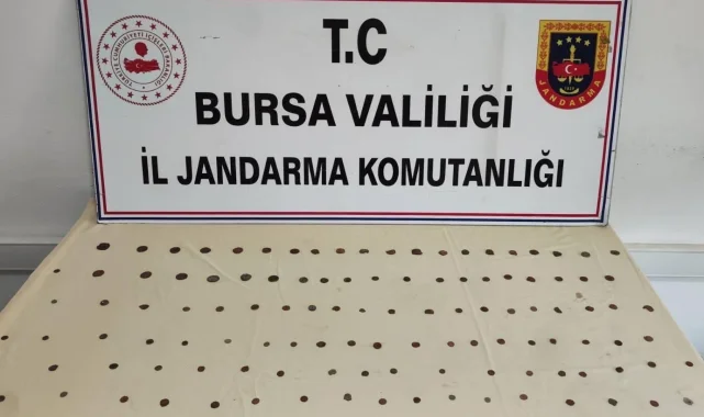 Mudanya Bademli'de tarihi eser operasyonu: 2 gözaltı