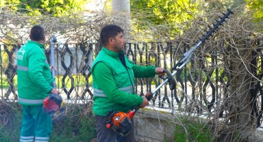 Muğla Milas'ta ilkbahar bakımları sürüyor