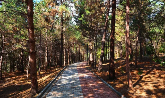 Sakaryalılar baharı 'Huzur Koridoru'nda koşarak karşılayacak