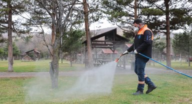 Sivas'ta yaz öncesi ilaçlama seferberliği