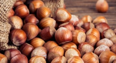 TMO'dan 'kabuklu fındık' açıklaması: Satışımız ve hazırlığımız bulunmamaktadır